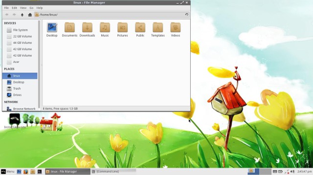 Linuxlite file manager