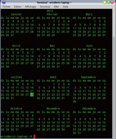 Calendrier année 2012 dans un terminal