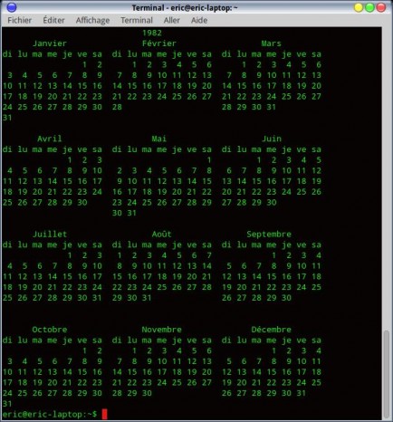 Calendrier année 1982 dans un terminal