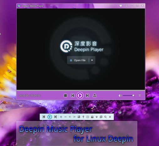 Linux Deepin lecteur video