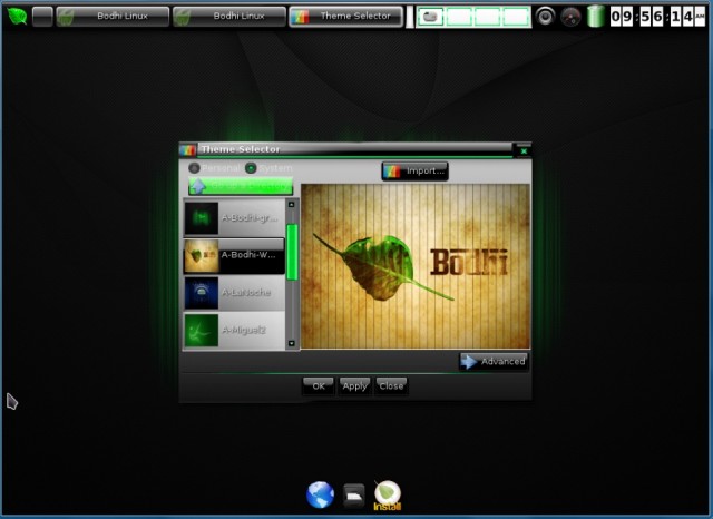 Bodhi Linux choisir le nouveau thème