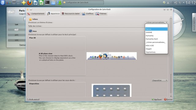 Cairo-Dock apparence