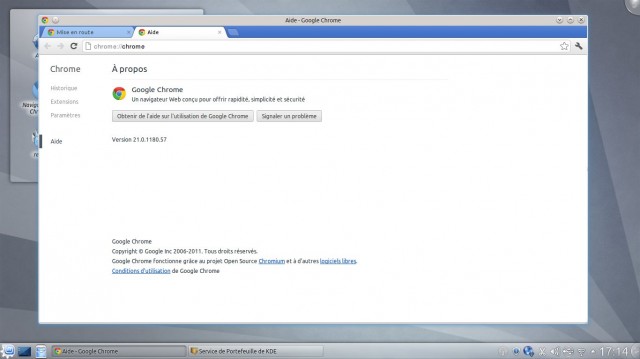 Google Chrome sous Linux