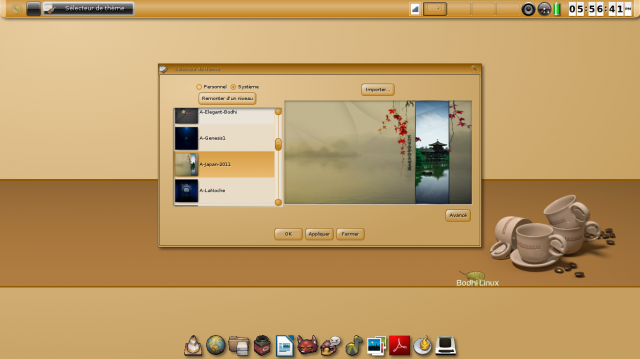 Bodhi Linux 2.1.0 les thèmes