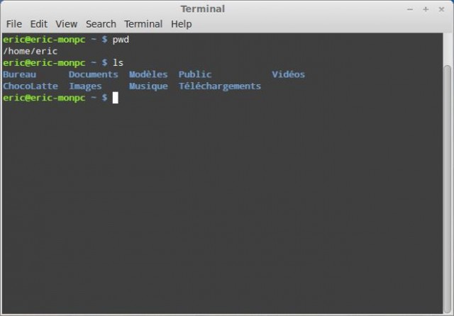 Le terminal avec les commandes