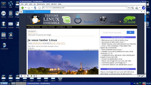 Puppy Linux 5.5 Precise Edition et internet