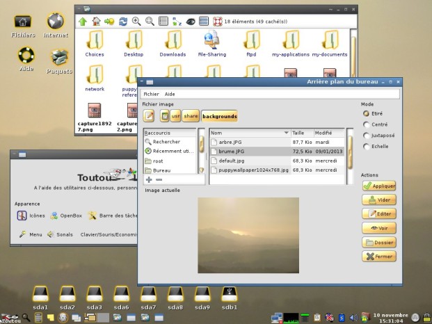 Interface Toutou Linux