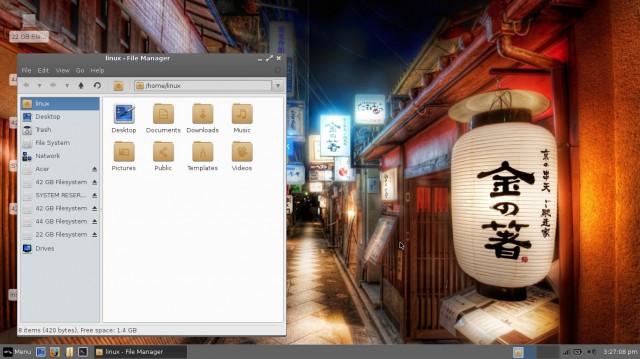 Linux Lite Home