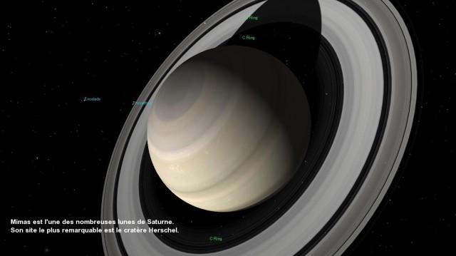 Celestia Saturne