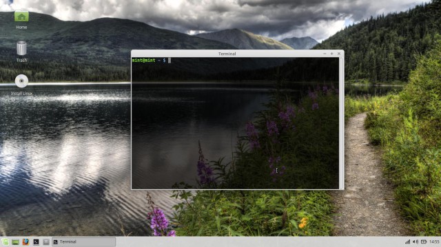 Terminal Linux Mint XFCE