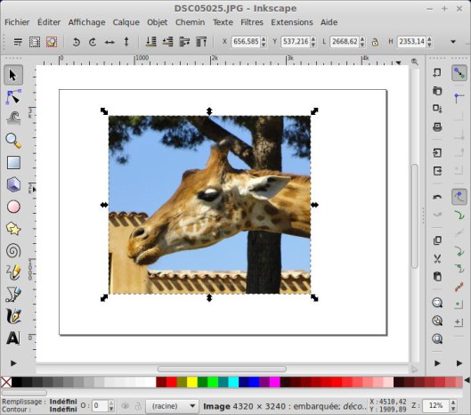 Photo découpée Inkscape