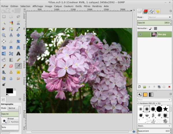 Gimp ouvert avec une photo
