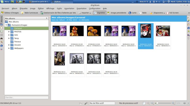 Linux Digikam albums