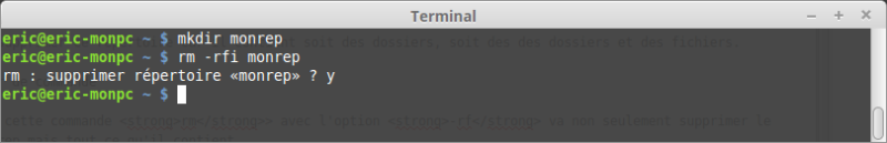 Commande rm -rfi