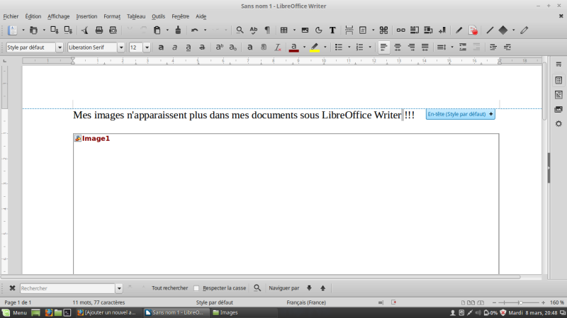 Libre office Writer photos