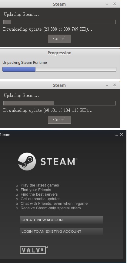 Steam download update