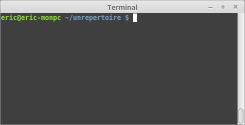 Le terminal Linux