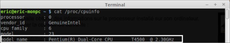 Terminal processeur