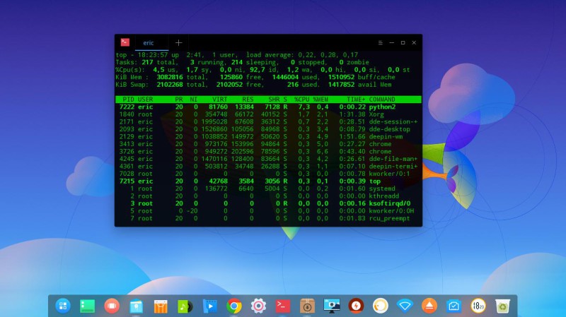 Mémoire consommée pour Deepin