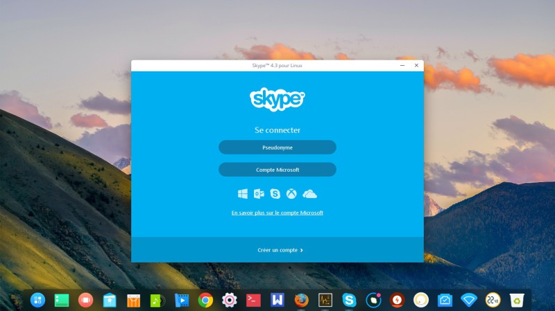 Skype Deepin