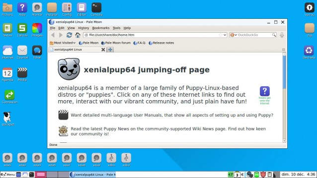 Pale Moon Puppy Linux 