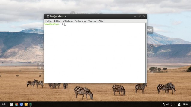 Le terminal Endless 3.3.5